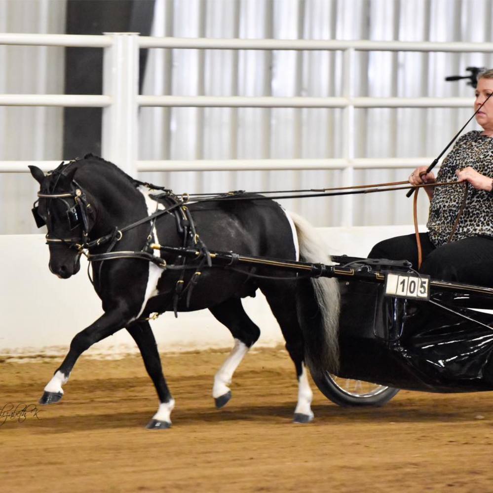 Meet your Posher, Sherry